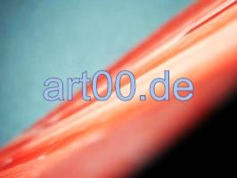 Lachs-3